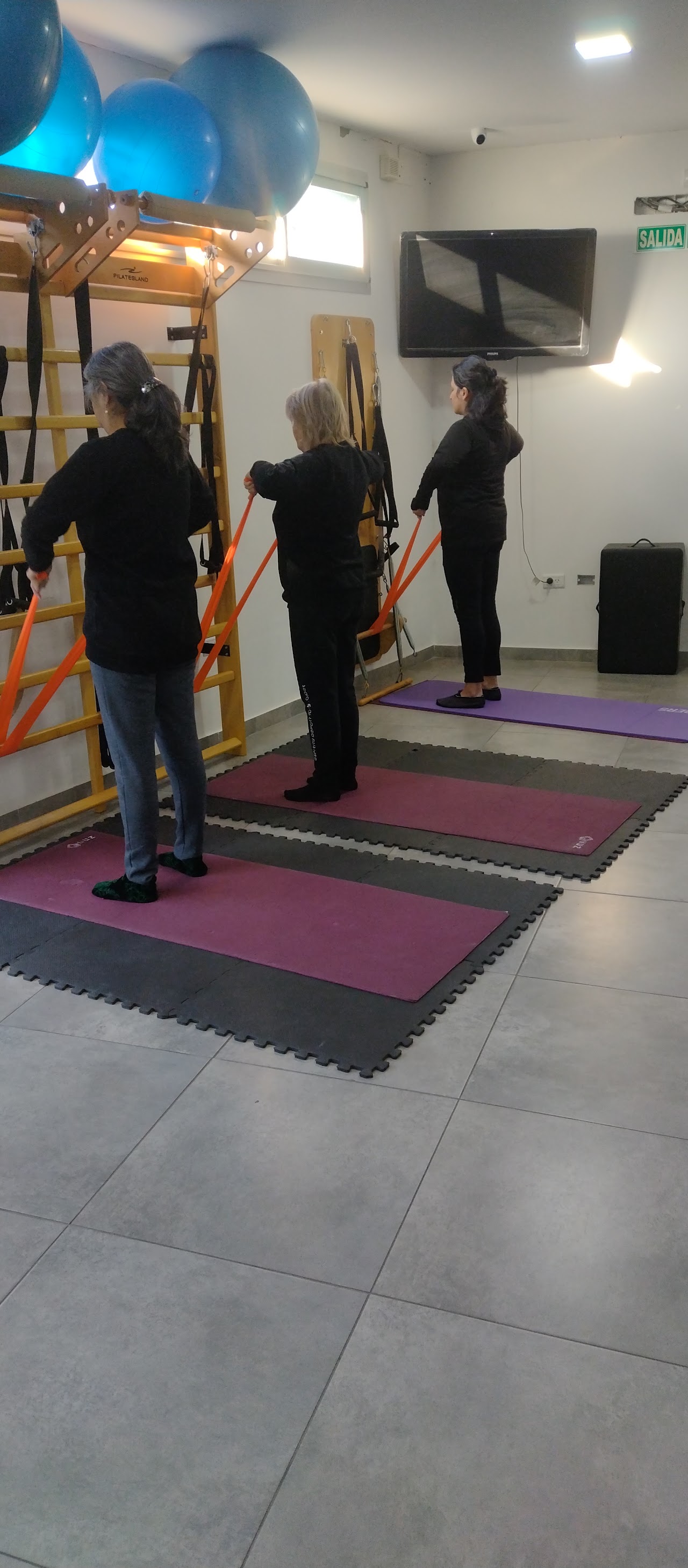 Clase grupal de kinefilaxia ARTEMIS